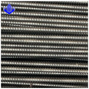 สกรูขนาดเส้นผ่านศูนย์กลาง12-18มม. ปรับแต่งได้ยาว0.5-4ม. สำหรับโรงงานก่อสร้างโมดูลาร์โดยตรง - Product Image 4