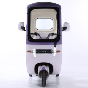 Высококачественный Электрический трехколесный велосипед для взрослых, 800 Вт, 60 В, от китайского завода, качественные электрические трехколесные велосипеды - Product Image 3