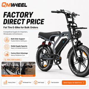 Bicicleta eléctrica QMWHEEL V20 Limited de 48V, bicicleta deportiva eléctrica, fat bike para distribuidores OEM y ODM, suministro desde almacén en el extranjero. - Product Image 1