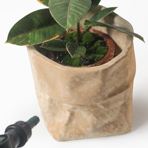Personalità creativa uso domestico in ceramica sacchetto di carta Kraft verde edera succulenta <span class=keywords><strong>Cactus</strong></span> <span class=keywords><strong>vaso</strong></span> <span class=keywords><strong>da</strong></span> tavolo <span class=keywords><strong>vaso</strong></span> <span class=keywords><strong>da</strong></span> tavolo - Product Image 2