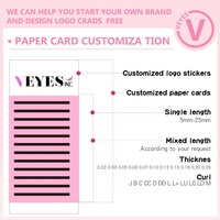 VEYES Plateaux de cils individuels en gros, extensions de cils en soie volume noir mat foncé, fournitures d'extensions de cils en cachemire