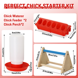 Mangiatoia e Abbeveratoio per <span class=keywords><strong>Pulcini</strong></span> con Posatoio in Legno per Piccoli Pollame, Anatre, Quaglie, Piccioni e Uccelli - Product Image 2