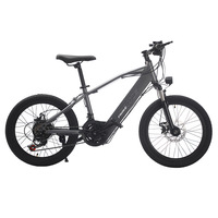 Vélo de montagne électrique pour adultes de 20 pouces, 250 W, batterie cachée, double amortissement, phare LED, 7 vitesses