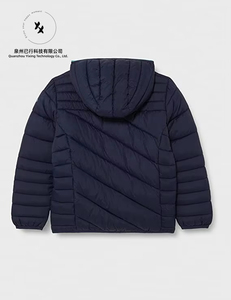 Veste en nylon pour garçons, veste à capuche avec doublure, veste décontractée légère pour enfants, vente en gros - Product Image 6