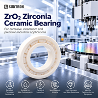 ZrO2 Deep Groove Full Ceramic Ball Bearing with PTFE Cage for Chemical and Industrial Equipment