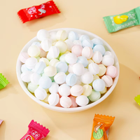 Bonbons à la menthe aromatisés aux fruits sans sucre, certifiés HALAL