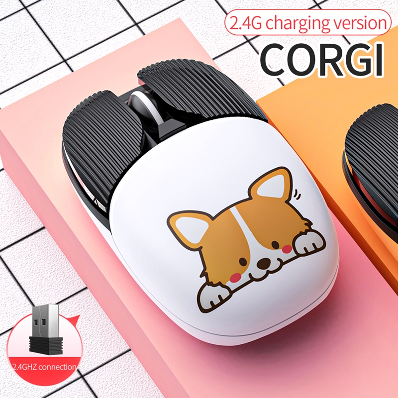 2.4G di corgi bianco