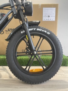 Fatbike Lady e-bike UK almacén ciclo eléctrico barato bicicleta eléctrica Mujer 750W ebike jansno X50 EU stock - Product Image 4