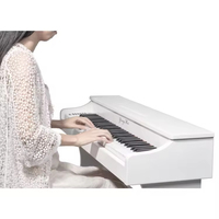 Portable 61-Keys Professional Upright Music Keyboard Multifunction Digital Electronic Piano Plastic Material Electric Organ Type