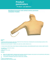 PVC interne sous-clavier de mannequin de simulation de ponction de veine jugulaire pour le modèle de formation de cathétérisme veineux central périphérique