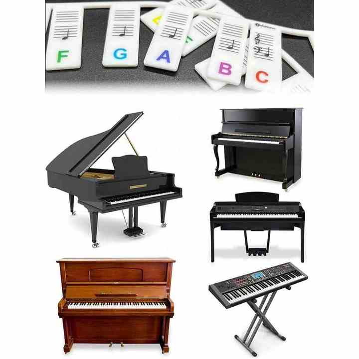1PC Reusable Silicone Piano Notes Guide for 61/88-Key Full Size Keyboard Easy-To-Install Easy-To-Remove Note Labels Sound Proof