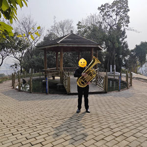 <span class=keywords><strong>Tuba</strong></span> Baja en Sib, Nueva, Lacada en Oro, con Cuatro Llaves Planas, VTU-E110, para Banda de Música, para Principiantes y Profesionales - Product Image 5