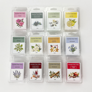 Wholesale DIY <strong>Wax</strong> <strong>Melts</strong> <strong>Kits</strong> for Candle Burner Oils Home Decoration Soy <strong>Wax</strong> Art Candles - Product Image 2