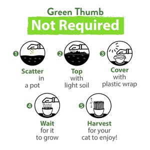 Kit per la coltivazione di erba per gatti fatti <span class=keywords><strong>in</strong></span> casa ricarica per gatti erba con <span class=keywords><strong>vaso</strong></span> di fiori alla rinfusa - Product Image 4