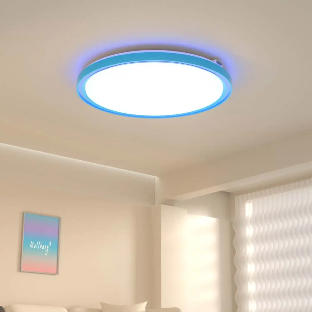 Fashion design dimmable ceiling light for living room bedroom round led light ceiling for room decorating RGB led ceiling lamp