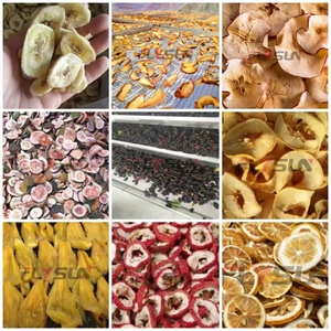 Séchoir à pommes industriel Équipement de tranchage et de séchage de kaki Séchoir à noix de coco Déshydrateur de fruits - Product Image 6