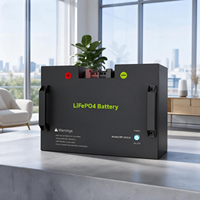 Batterie LiFePO4 BP-24150 avec bornes anti-inversion de polarité, avertissement de sécurité standard, doubles poignées portables, boîtier métallique