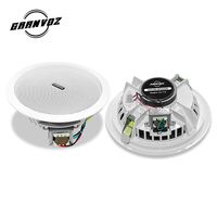 Metal malzeme alıcıları ile 6.5 inç kapalı ses tavan hoparlörler 6W Woofer ev amplifikatör
