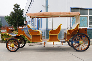 Carroza de Caballos de Lujo en Oferta, Vehículo Elegante para Viajes de Ocio, Carroza para 5-6 Personas, Eléctrica/Asistida por Caballos - Product Image 6