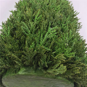 Produit très vendu, grandes feuilles d'arbres artificiels en cèdre pour la décoration de jardin extérieur - Product Image 6