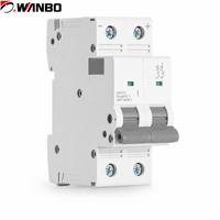 Disjoncteur solaire photovoltaïque Wanbo-515 DC 500V, poignée grise, entièrement en cuivre, 40A 60A 125A 6kA, rail DIN 2P IEC