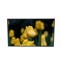 Open Frame LCD Monitor, Sunlight Readable Display Screen