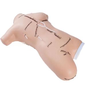 Modelo de Entrenamiento <span class=keywords><strong>en</strong></span> Sutura Quirúrgica y Aplicación de Vendajes - Simulador de Desbridamiento de Heridas <span class=keywords><strong>en</strong></span> Torso Femenino para Enfermería Médica - Product Image 2