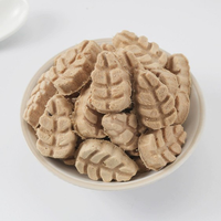 Assortiment de friandises lyophilisées pour animaux de compagnie : Cœur de lapin, Carotte, Os de viande crue, Friandises en forme de patte de chat pour chats et chiens