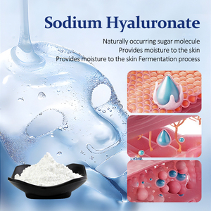 Amulyn Supply - Hialuronato de Sodio en Polvo de Grado Cosmético, Ácido Hialurónico de Alta Pureza a Granel para Formulación de Productos para el Cuidado de la Piel - Product Image 2