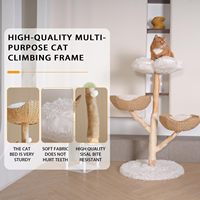 Arbre à chat en bois naturel, design mignon, du sol au plafond, avec griffoir en bois, structure d'escalade pour chat