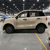 Voiture électrique écologique - Véhicule à énergie nouvelle à longue autonomie, Véhicule électrique très demandé pour la famille