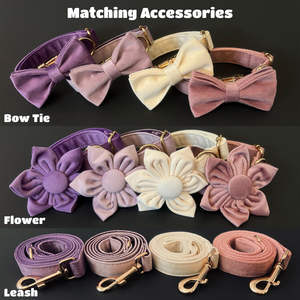 Custom And Leash Set With <b>Bowtie</b> Personalized Engraved Collar Purple Dog Collar - Product Image 4