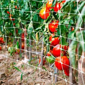 White 2x100 m Star Climbing Net for Agricultural <b>Plastic</b> <b>Products</b> - Product Image 4