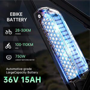 Ebike أسفل أنبوب بطارية ليثيوم 36V 48V 52V كهربائية قابلة لإعادة الشحن عالية الجودة مع شاحن 2A 3A 4A - Product Image 5