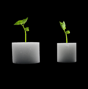 Kit di spugna per piantina idroponica con motivo quadrato per <span class=keywords><strong>piante</strong></span> in serra placcato rivestito di casa <span class=keywords><strong>giardino</strong></span> verde/cartone - Product Image 4