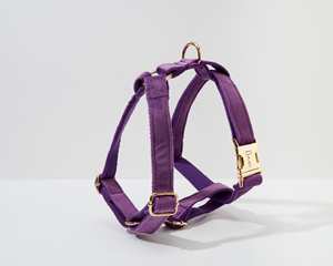 ชุดปลอกคอและสายจูงสุนัขสีม่วงแบบมีฮาร์ดแวร์สีทองแฟนซีสำหรับลูกสุนัขขนาดเล็กจัดส่งฟรี - Product Image 2