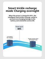 Chargeur multi-ports intelligent 100 ports OEM ODM 100-240V, chargeur de batterie mobile, chargeur iPhone, chargeur Type C