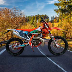 Motocicleta Kews Motocross China de 2 Tiempos, 200-400CC, Transmisión por Cadena, Frenos de Disco, 61-80km/h - Product Image 3