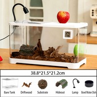 Aquarium de bureau transparent en plastique pour tortues, plateforme de basking, terrarium pour reptiles, aquarium écologique, boîte d'élevage pour animaux vivants