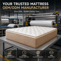 Ensemble de matelas moderne en tissu de coton, pliable, pour hôtel et maison, tailles King et Queen, avec ressorts ensachés, mousse à mémoire de forme, orthopédique, gonflable