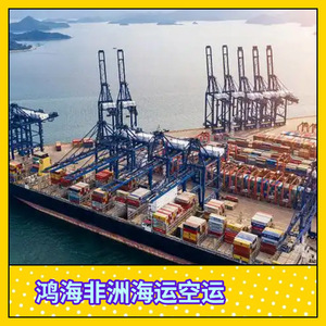 Logística de Hon Hai en África, Transporte Marítimo y Aéreo, Transporte de Carga LCL, Entrega Puerta a Puerta en África - Product Image 4