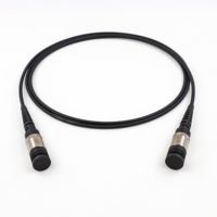 Câbles de raccordement à fibres optiques fabriqués en Chine, vente en gros à bas prix, FTTA IP67 PAM-MT, câbles de raccordement MPO multi-core à connecteurs mâle et femelle