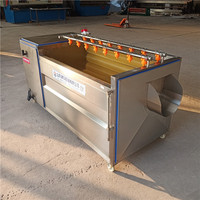 Wortel Groente Fruit Wassen Peeling Machine/Borstel Wassen Plassen Machine/Gember Peeling Machine