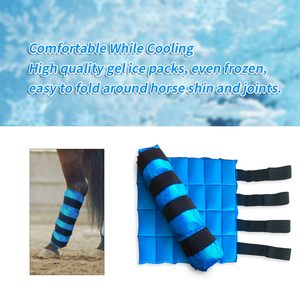 Botas de gel refrigerantes para caballos con bolsa de transporte para hólices, tobillos, rodillas y pezuñas, suministros de equino, terapia y cuidado. - Product Image 5