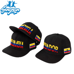 Gorra <span class=keywords><strong>de</strong></span> Béisbol Estructurada <span class=keywords><strong>de</strong></span> 6 Paneles con Logotipo Bordado en 3D Personalizado, Unisex, a la Moda, para la Copa Mundial <span class=keywords><strong>de</strong></span> Fútbol, Estilo Dad Hat - Product Image 1