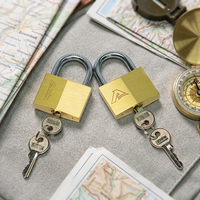 Cadenas en laiton haute sécurité antivol avec cylindre en laiton et 2 clés en laiton, écologique, durable, étanche IP65 pour portail