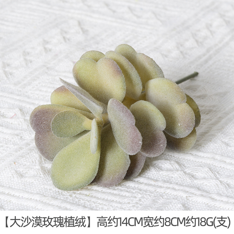 Gran desierto Rosa flocado