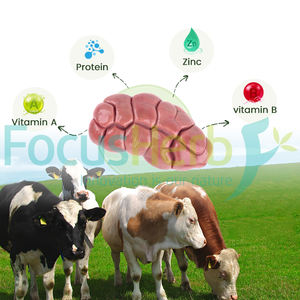 हमारे गोदाम नए ज़ेलैंड घास फ़ीड गोजातीय अंग पाउडर गोमांस गुर्दे पाउडर - Product Image 3