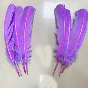 Plumes de plume de dinde teintées du fournisseur d'<span class=keywords><strong>accessoires</strong></span> de carnaval pour les plumes de chapellerie de Costumes dans des formes de nombre - Product Image 4