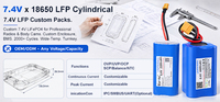 Batterie LiFePO4 à semi-conducteurs 3.2V 5Ah 16Wh avec BMS, durée de vie 3000 cycles, modèle CNRY-3.2V-1S1P pour éclairage solaire mural, lampes de jardin et situations d'urgence